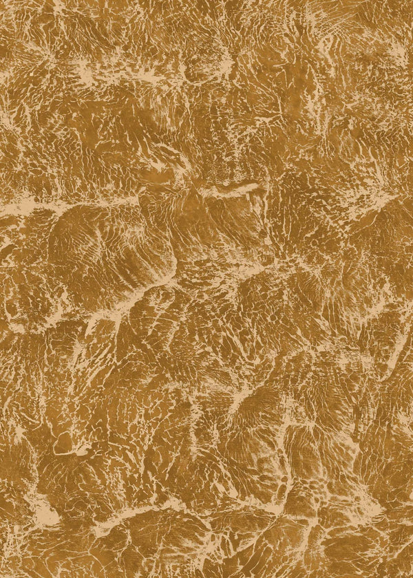 Sepia Curry | Coordone Europe