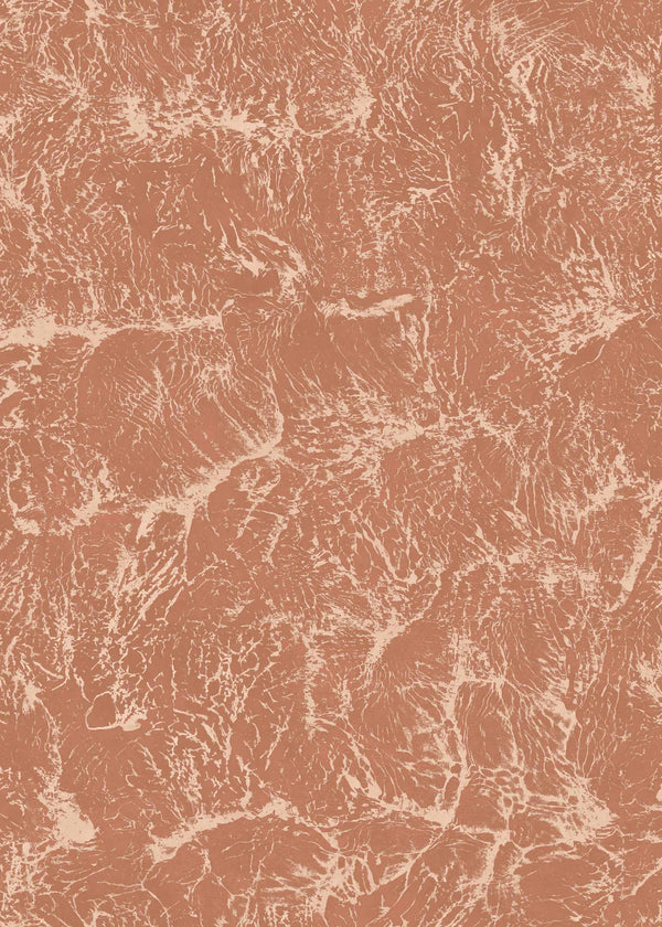 Sepia Rose, Rose Wallcoverings | Coordonné