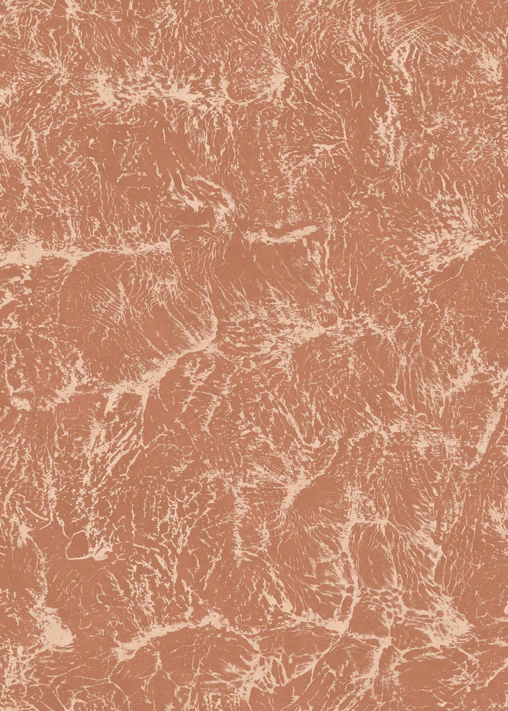 Sepia Rose, Rose