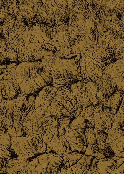 Sepia Emerald | Coordone Europe