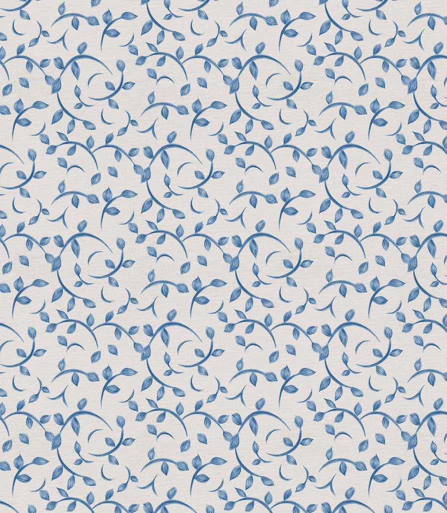 Twig Blue, Blue
