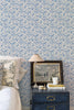 Twig Blue, Blue
