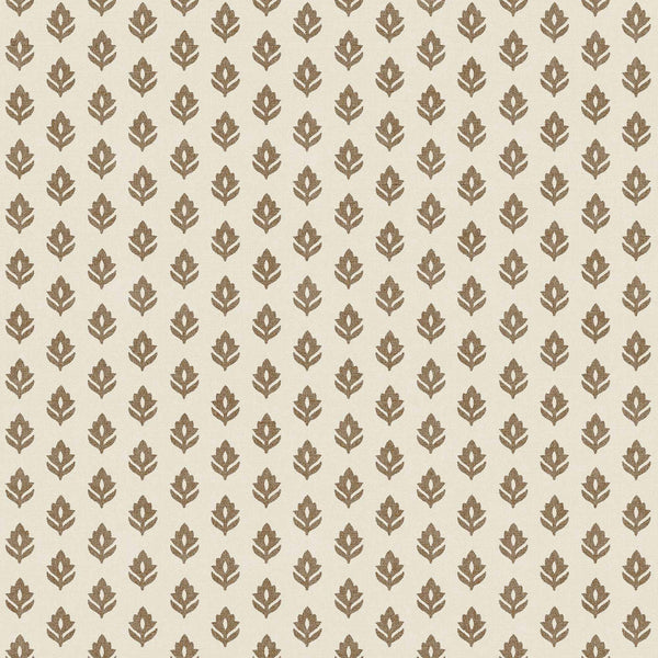 Clover Cacao | Coordone Europe