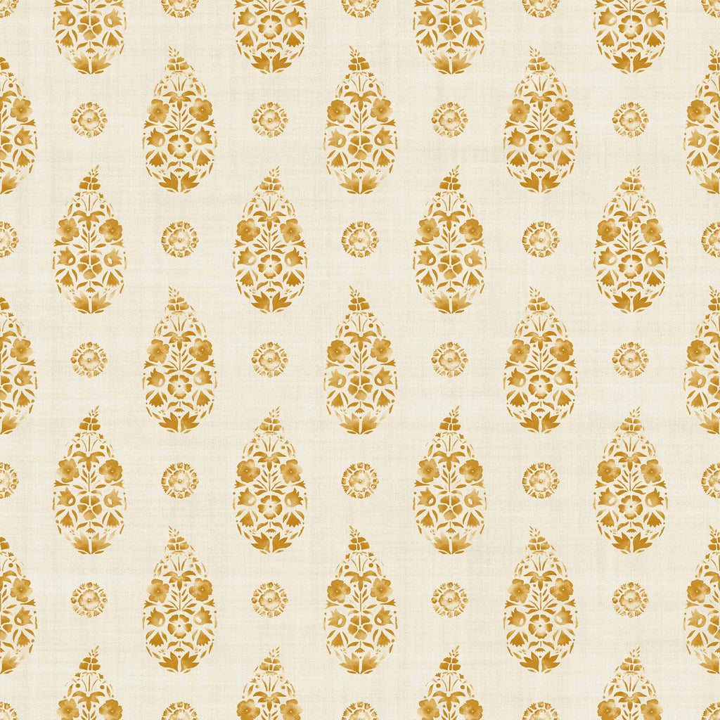 Paisley Curry, Curry