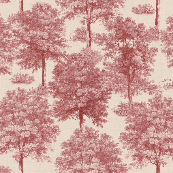 Chestnut tree Red | Coordone Europe