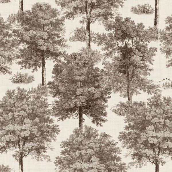 Chesnut Tree Clay, Clay Wallcoverings | Coordonné