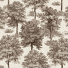 Chesnut Tree Clay, Clay