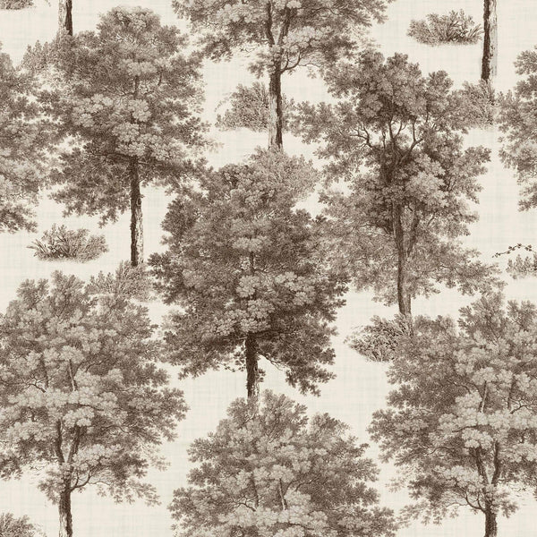 Chestnut tree Clay | Coordone Europe
