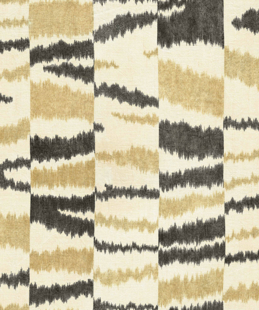 Agafay Desert Zebra, Zebra
