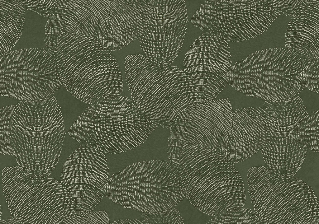 Rif Relief Sage, Sage