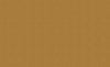 Tetragonal Curry, Curry