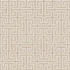 Maze Cotton, Cotton