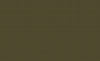 Grid Olive, Olive