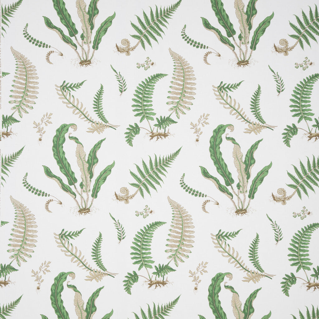 Samples and Purchasing available for Ferns Print - Snow  By G P & J Baker | Perennia |Botanical & Floral  Multipurpose Print at Designer Wallcoverings and Fabrics