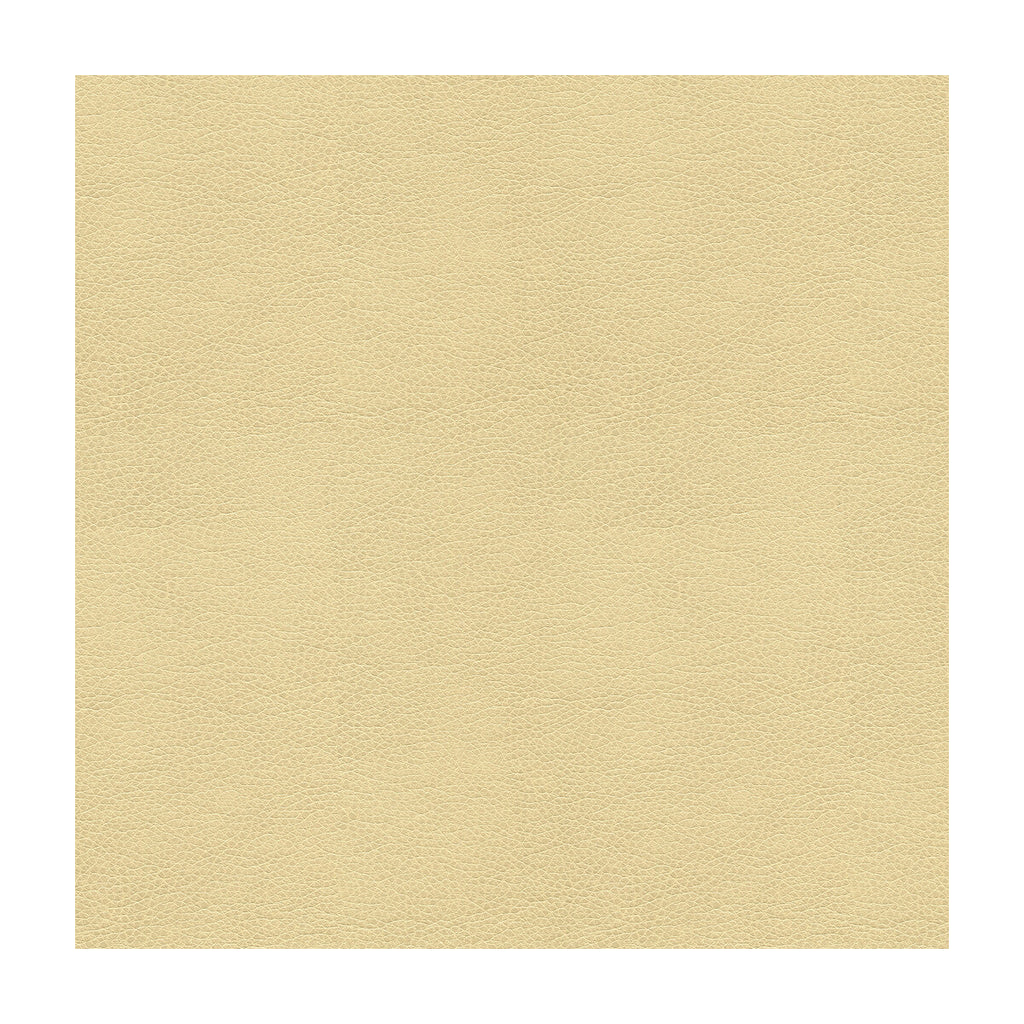 Samples and Purchasing available for Kravet Contract - Balara-116 Beige By Kravet Contract |  |Solid Texture Upholstery Vinyl/Faux Leather at Designer Wallcoverings and Fabrics