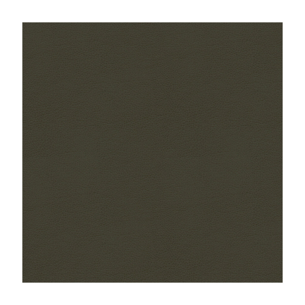 Samples and Purchasing available for Kravet Contract - Balara-21 Charcoal By Kravet Contract |  |Solid Texture Upholstery Vinyl/Faux Leather at Designer Wallcoverings and Fabrics