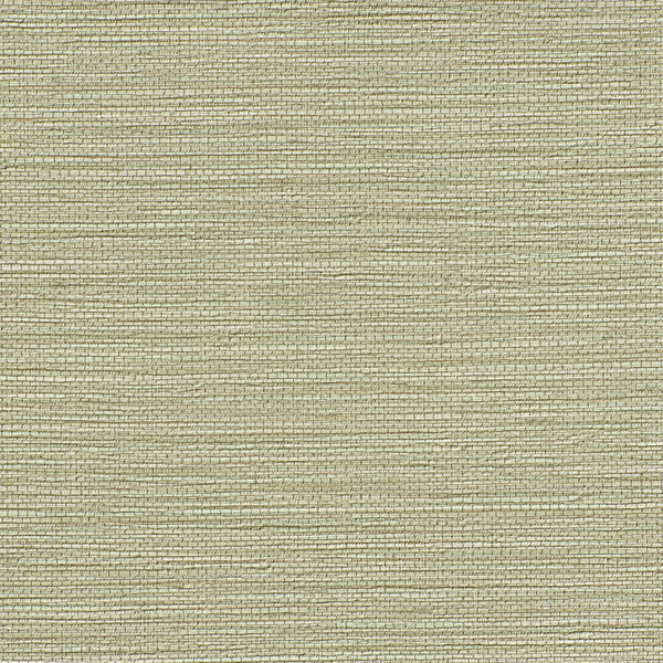 London Kasumi Bamboo Root Wallcovering | Phillipe Romano