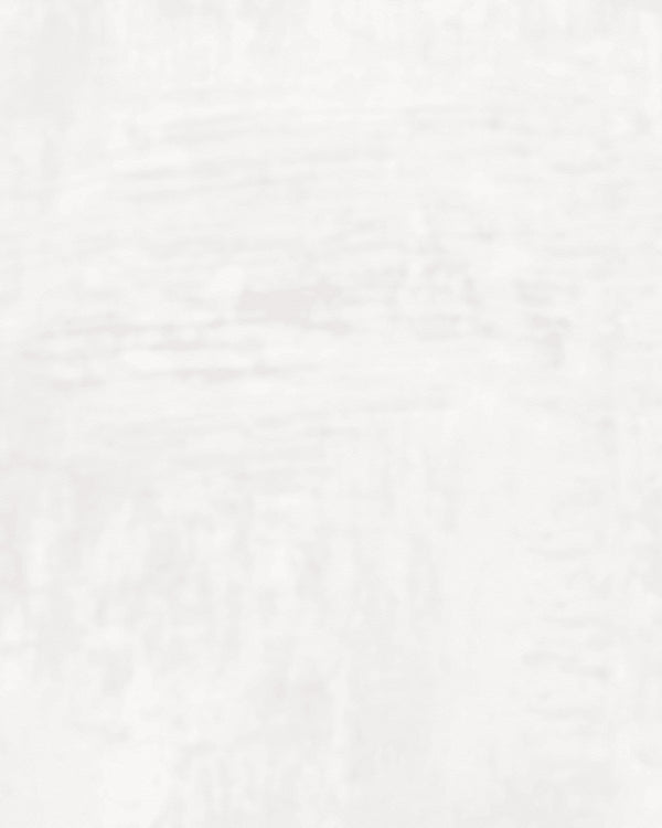 London Tuscan Plaster Fossil Wallcovering | Phillipe Romano