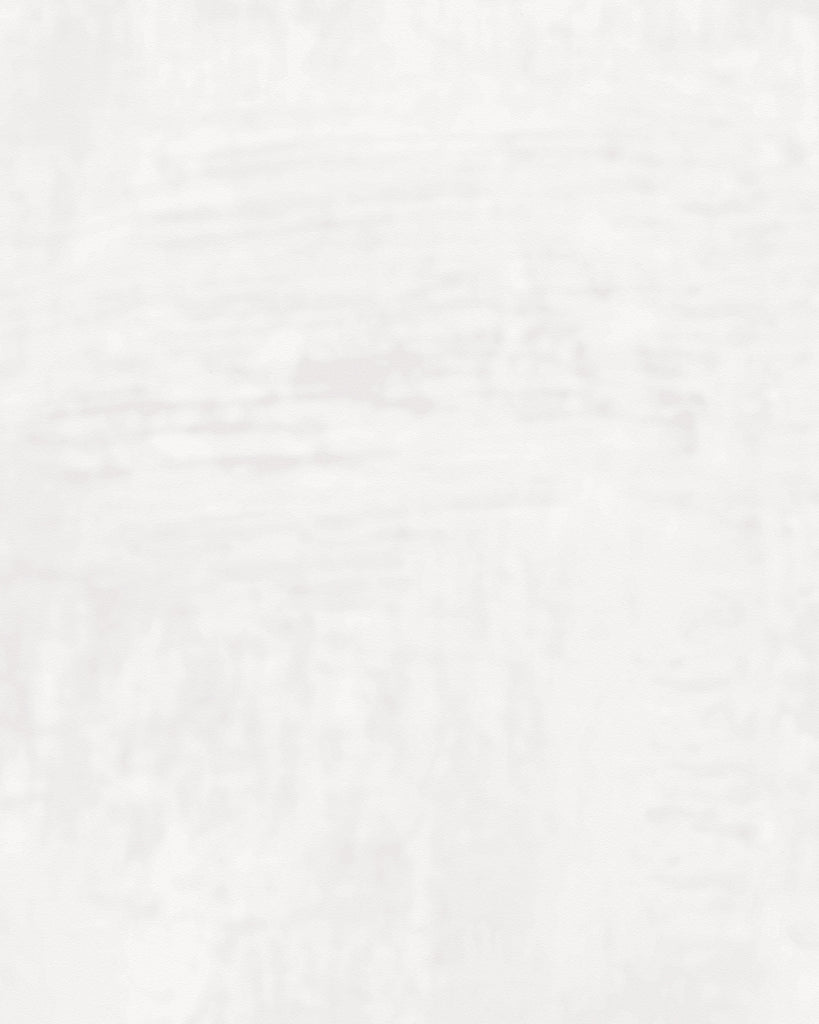 London Tuscan Plaster Fossil Wallcovering | Phillipe Romano
