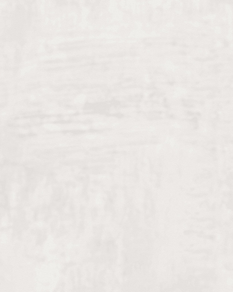 London Tuscan Plaster Limewash Wallcovering | Phillipe Romano