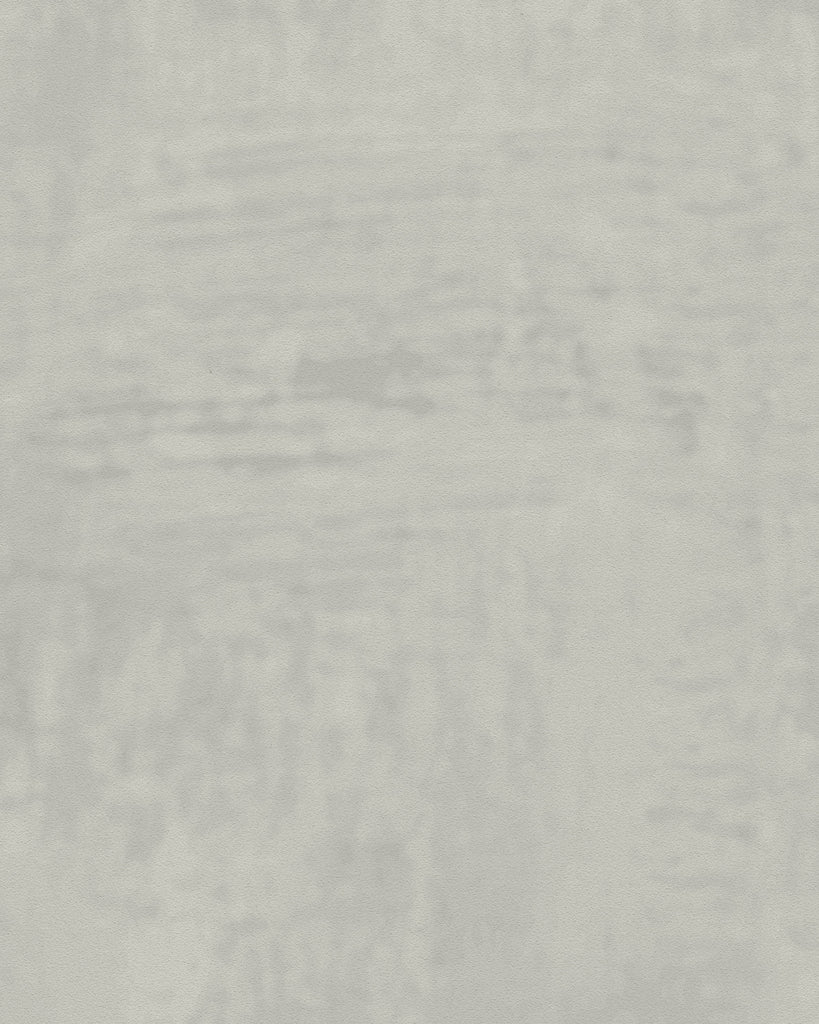 London Tuscan Plaster Smoky Sage Wallcovering | Phillipe Romano