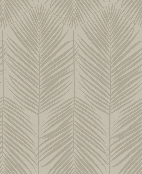 Malibu Persei Palm Wallpaper - Contemporary Botanical - Champagne | Malibu Wallpaper