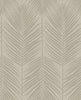 Malibu Persei Palm Wallpaper - Contemporary Botanical - Champagne | Malibu Wallpaper
