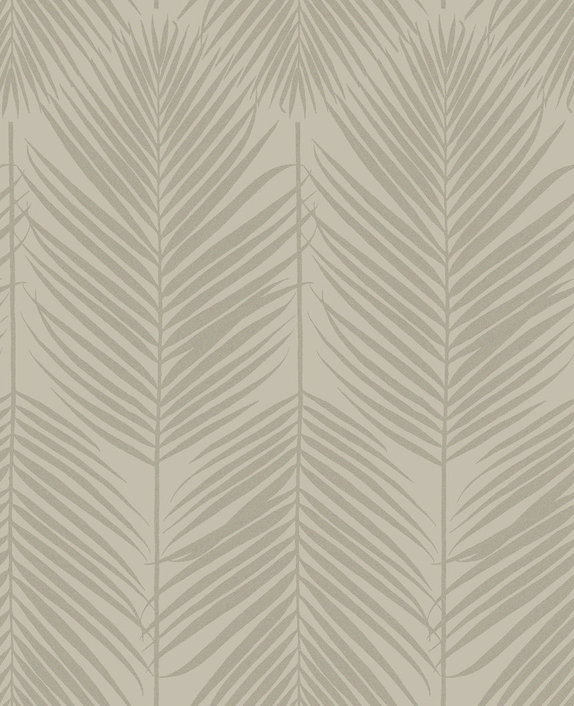 Malibu Persei Palm Wallpaper - Contemporary Botanical - Champagne | Malibu Wallpaper