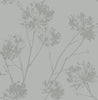 Malibu Wild Grass Wallpaper - Contemporary Botanical - Silversmoke | Malibu Wallpaper
