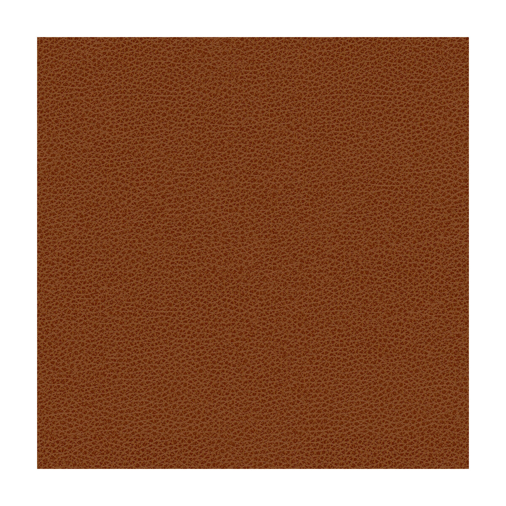 Samples and Purchasing available for Kravet Contract - Bess-24 Rust By Kravet Contract |  |Solid Texture Upholstery Vinyl/Faux Leather at Designer Wallcoverings and Fabrics