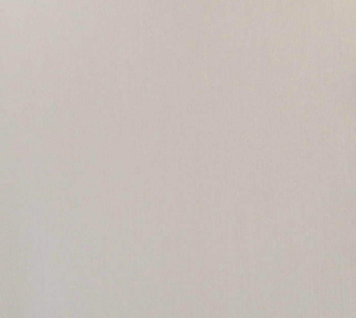 Flamingo - Papaya Wallcovering | Phillipe Romano