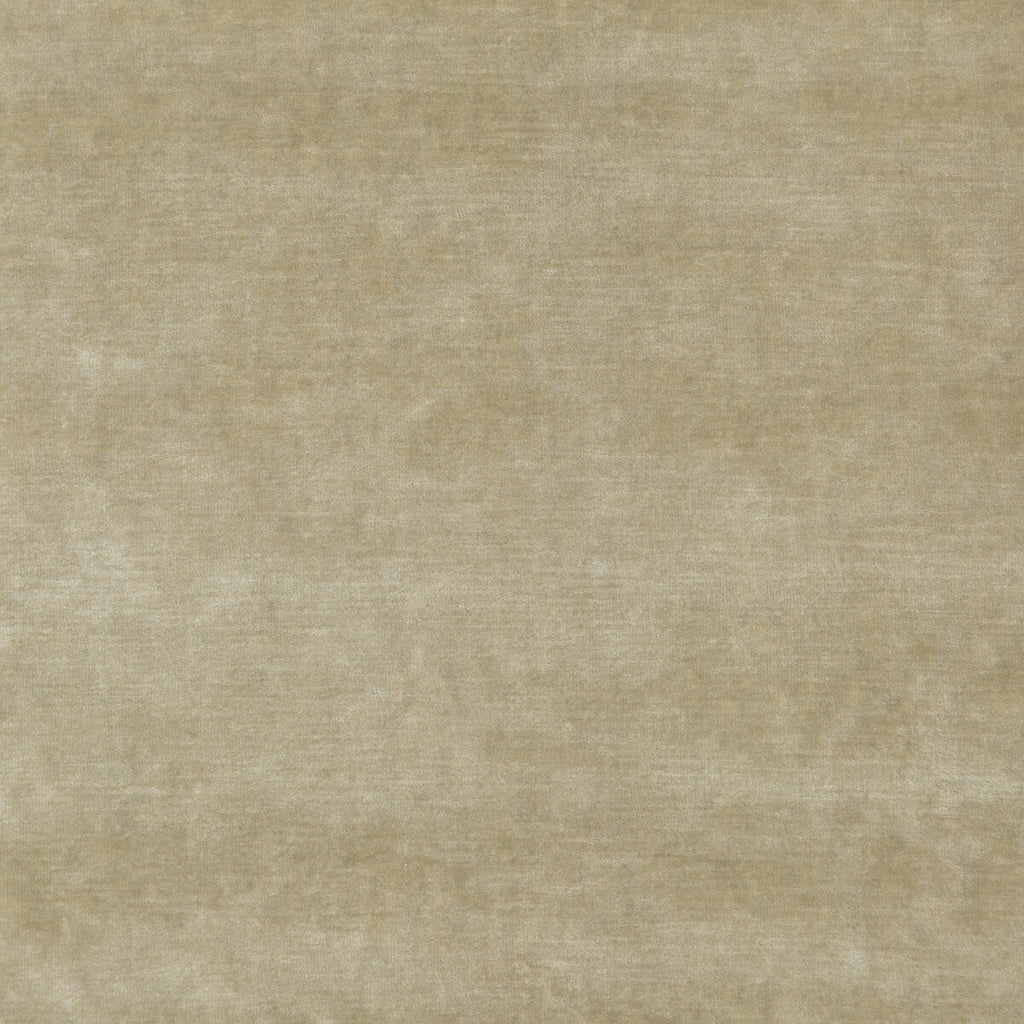 Samples and Purchasing available for King'S Velvet - Oyster  By G P & J Baker | Historic Royal Palaces |Solid Texture Upholstery Velvet at Designer Wallcoverings and Fabrics