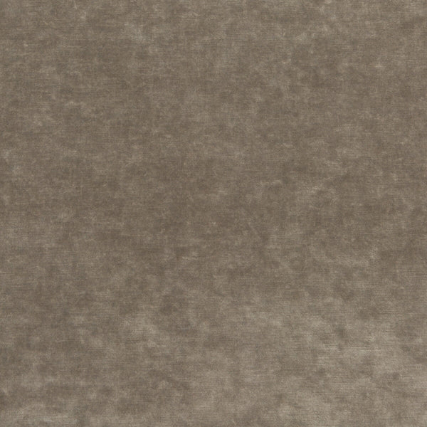 King'S Velvet - Mink  By G P & J Baker | Historic Royal Palaces |Solid Texture Upholstery Velvet