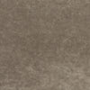 Samples and Purchasing available for King'S Velvet - Mink  By G P & J Baker | Historic Royal Palaces |Solid Texture Upholstery Velvet at Designer Wallcoverings and Fabrics