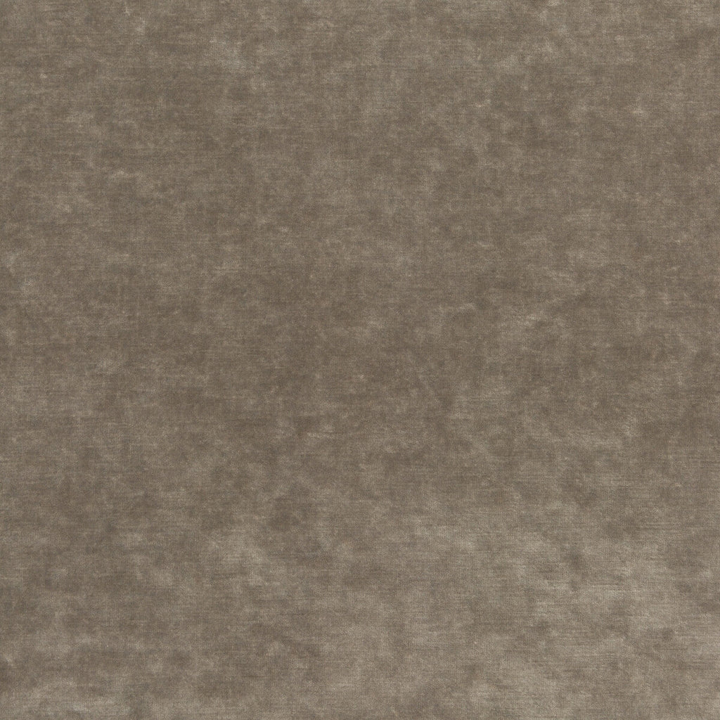 Samples and Purchasing available for King'S Velvet - Mink  By G P & J Baker | Historic Royal Palaces |Solid Texture Upholstery Velvet at Designer Wallcoverings and Fabrics