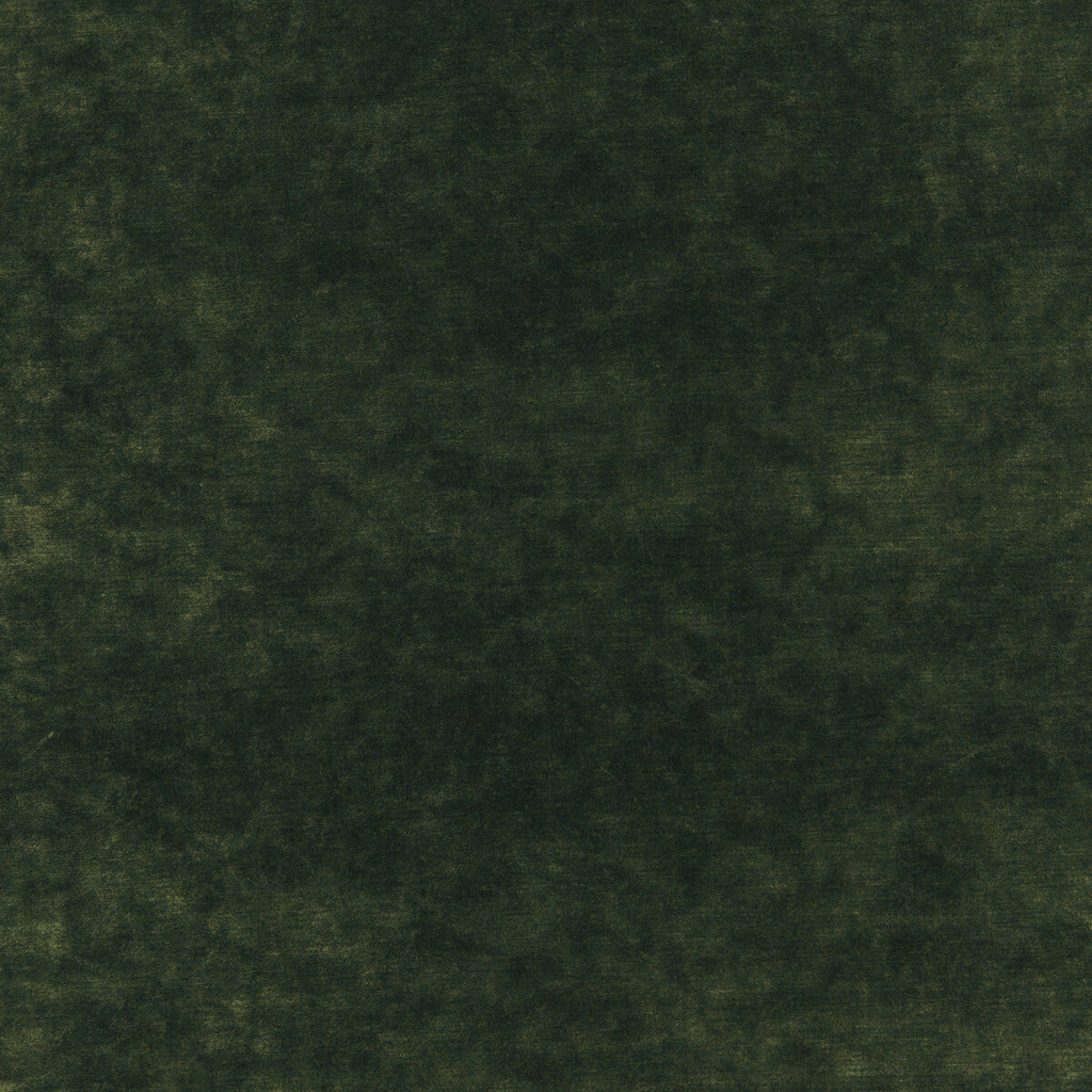 Samples and Purchasing available for King'S Velvet - Emerald  By G P & J Baker | Historic Royal Palaces |Solid Texture Upholstery Velvet at Designer Wallcoverings and Fabrics