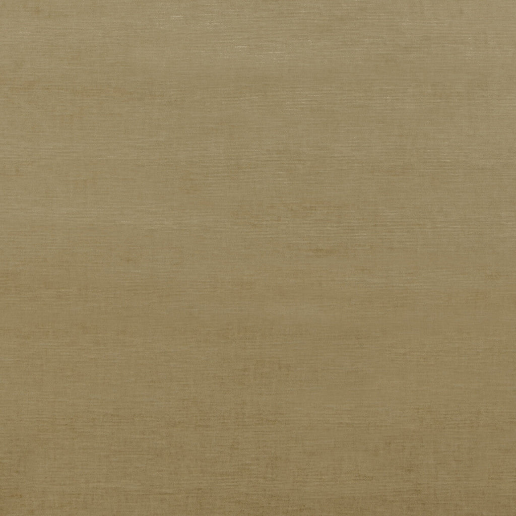 Samples and Purchasing available for Essential Velvet - Camel Brown By G P & J Baker | Essential Colours |Solid Texture Upholstery Velvet at Designer Wallcoverings and Fabrics