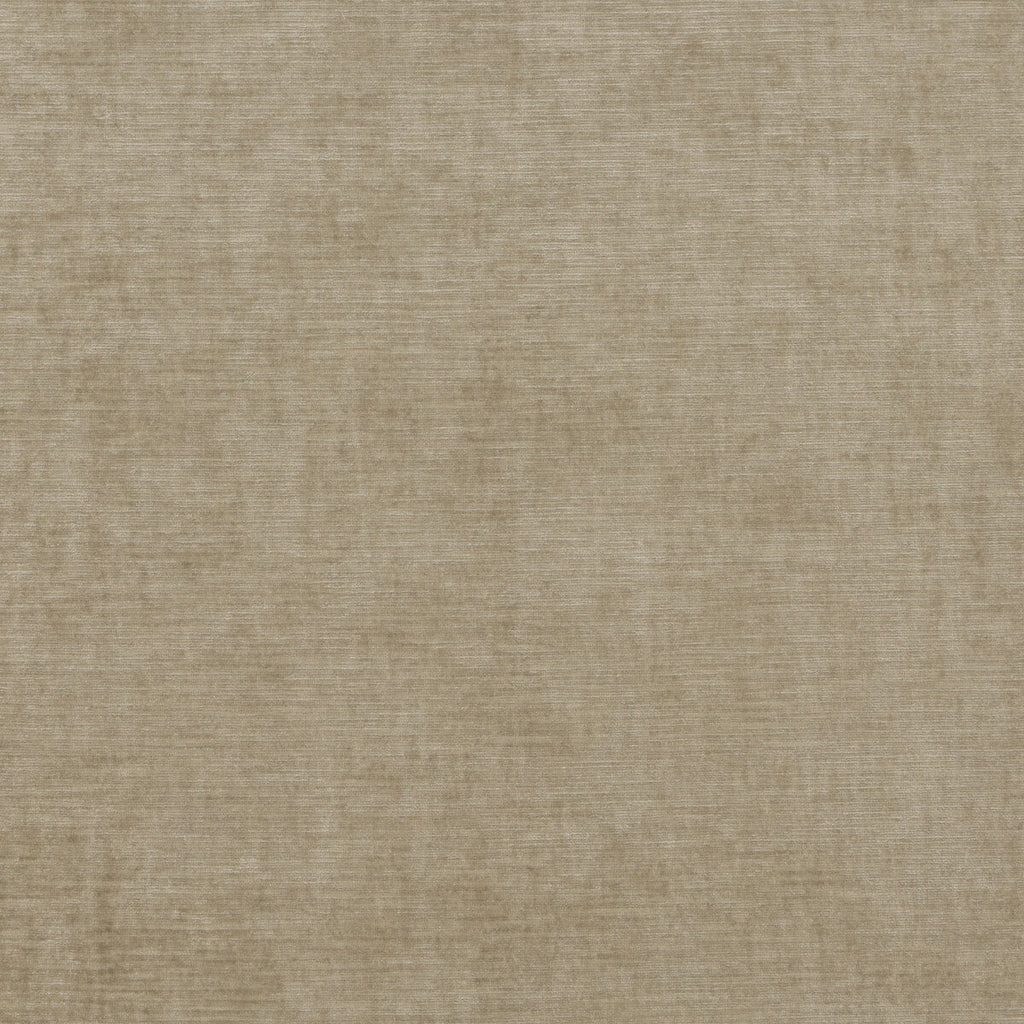 Samples and Purchasing available for Essential Velvet - Oatmeal Beige By G P & J Baker | Essential Colours |Solid Texture Upholstery Velvet at Designer Wallcoverings and Fabrics