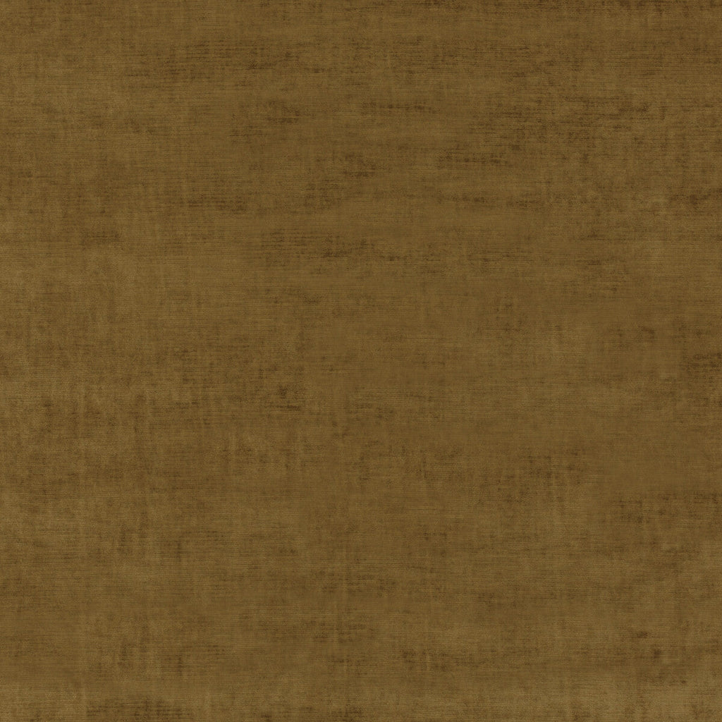 Samples and Purchasing available for Essential Velvet - Bronze Brown By G P & J Baker | Essential Colours |Solid Texture Upholstery Velvet at Designer Wallcoverings and Fabrics