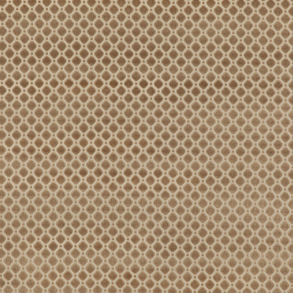 Samples and Purchasing available for Indus Velvet - Oyster Beige By G P & J Baker | Coromandel Velvets |Diamond Small Scale Upholstery Velvet at Designer Wallcoverings and Fabrics