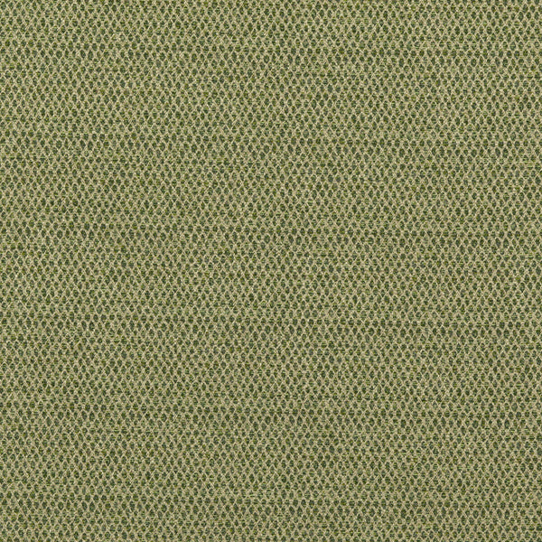 Pednor - Green  By G P & J Baker | Essential Colours Ii |  Upholstery Weave