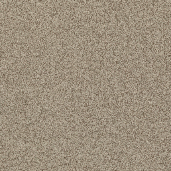 Baker House Boucle - Parchment Brown By G P & J Baker | Baker House Boucle |Solid  Multipurpose Weave