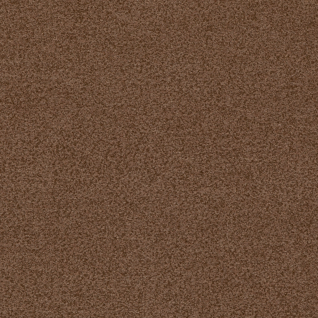 Baker House Boucle - Nutmeg Brown By G P & J Baker | Baker House Boucle |Solid  Multipurpose Weave
