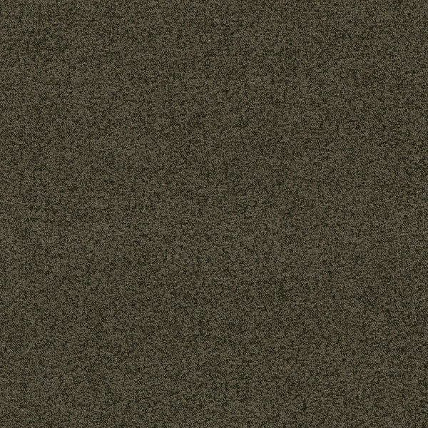 Baker House Boucle - Forest Green By G P & J Baker | Baker House Boucle |Solid  Multipurpose Weave
