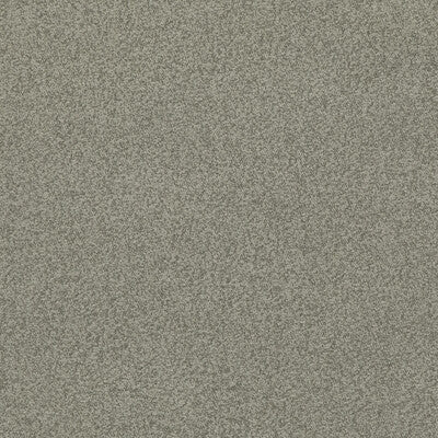 Samples and Purchasing available for Baker House Boucle - Dove Grey By G P & J Baker | Baker House Boucle |Solid  Multipurpose Weave at Designer Wallcoverings and Fabrics