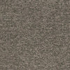Samples and Purchasing available for Baker House Boucle - Slate Grey By G P & J Baker | Baker House Boucle |Solid  Multipurpose Weave at Designer Wallcoverings and Fabrics