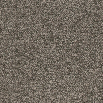 Samples and Purchasing available for Baker House Boucle - Slate Grey By G P & J Baker | Baker House Boucle |Solid  Multipurpose Weave at Designer Wallcoverings and Fabrics