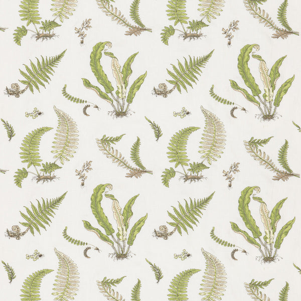 Ferns Embroidery - Green Green By G P & J Baker | Burford |Botanical & Floral  Drapery Embroidery