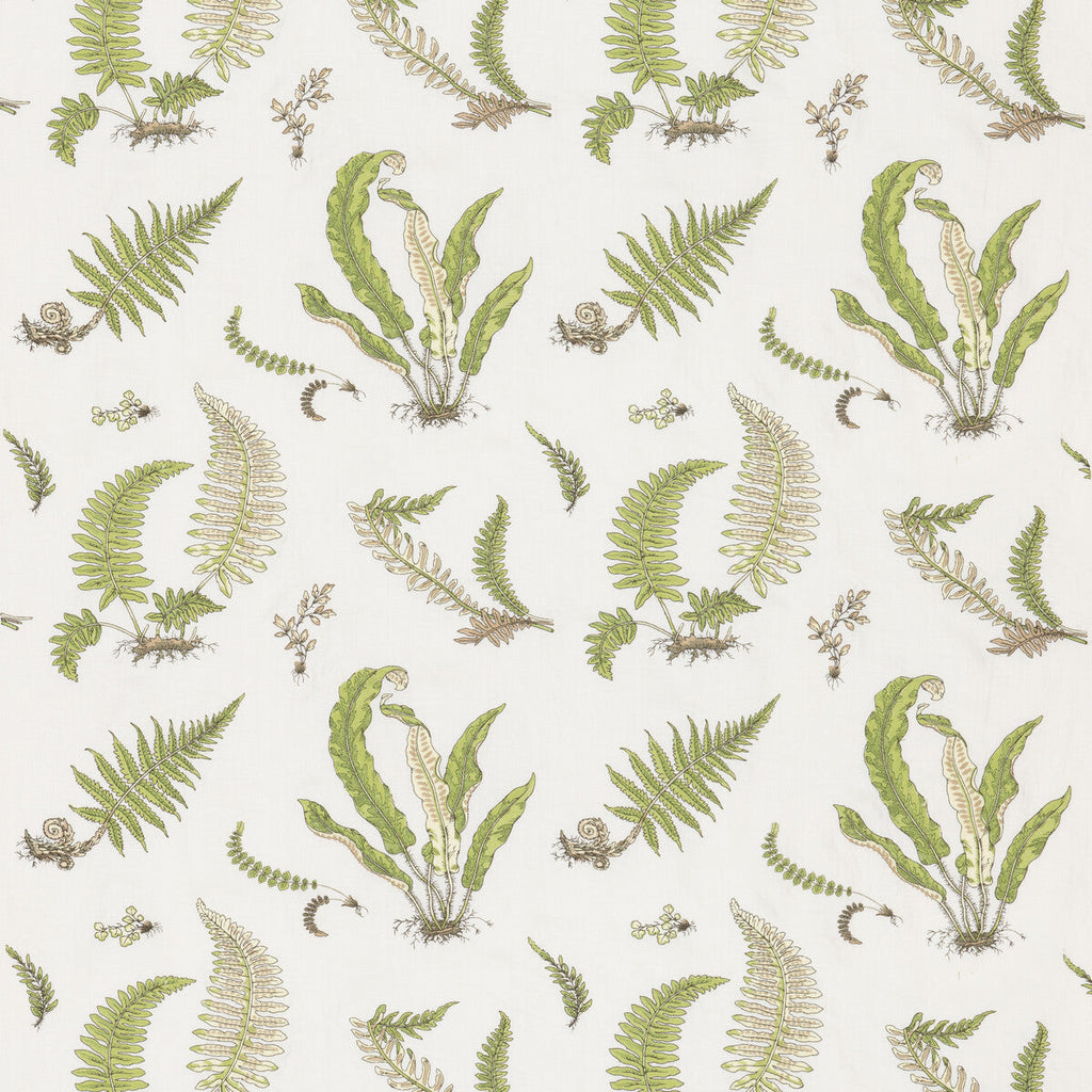 Samples and Purchasing available for Ferns Embroidery - Green Green By G P & J Baker | Burford |Botanical & Floral  Drapery Embroidery at Designer Wallcoverings and Fabrics