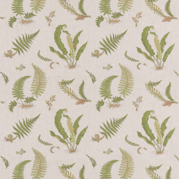 Ferns Embroidery - Green/Natural Green By G P & J Baker | Burford |Botanical & Floral  Drapery Embroidery